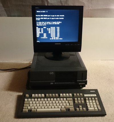 Goupil G5 286 VGA complet avec écran Samsung, unité centrale et clavier mécanique estampillé Goupil, écran affichant une invite MS-DOS